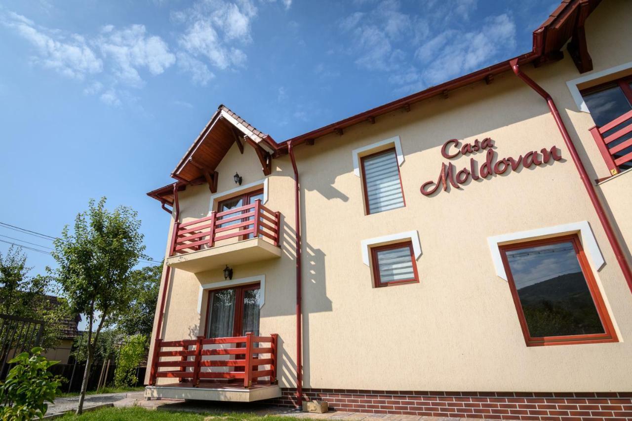 Casa Moldovan Sovata Zewnętrze zdjęcie